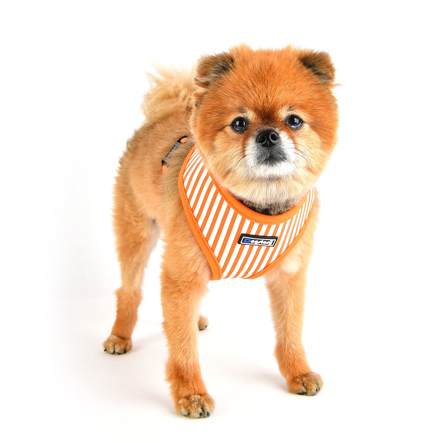 Dog Story Enzo Harness