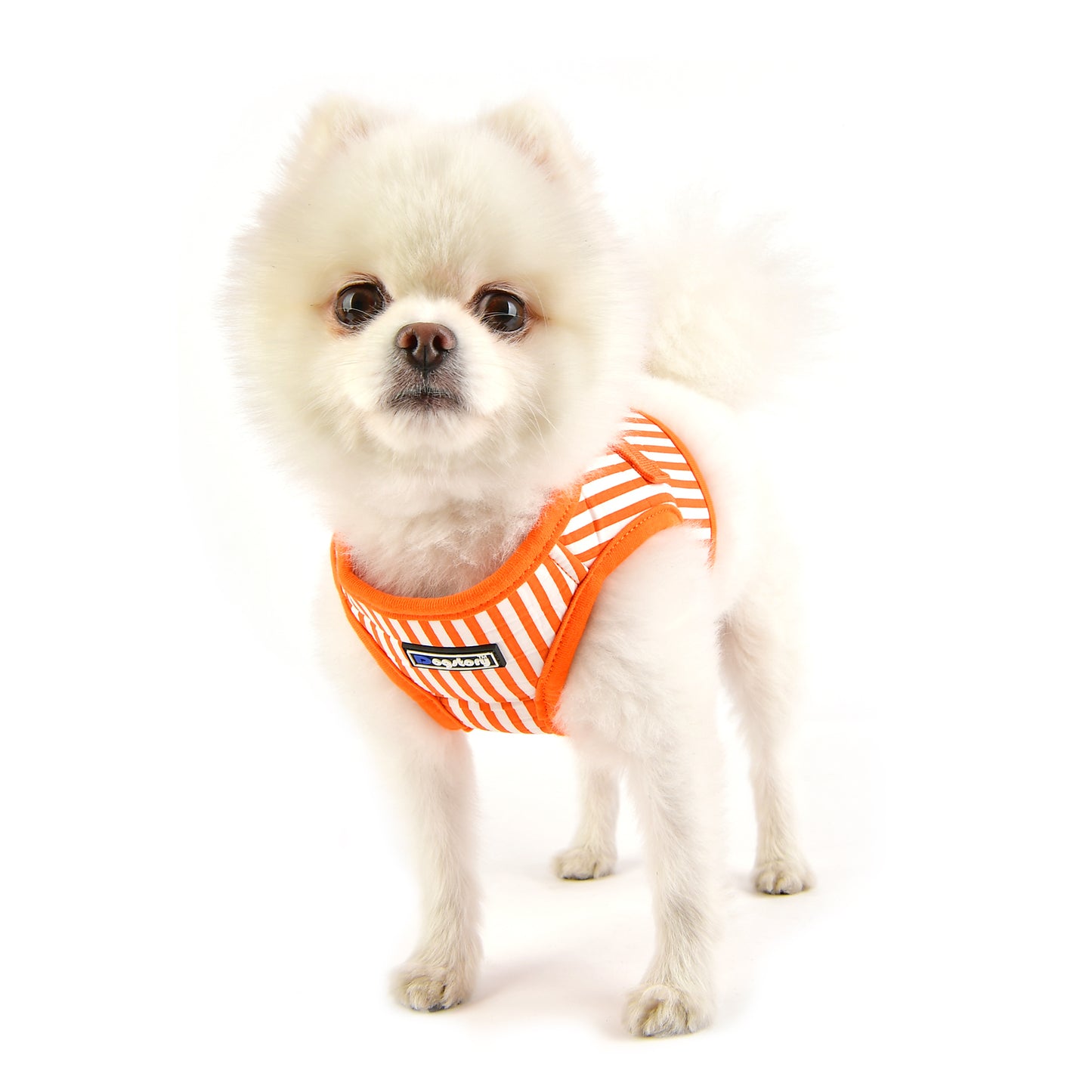 Dog Story Enzo Vest Harness