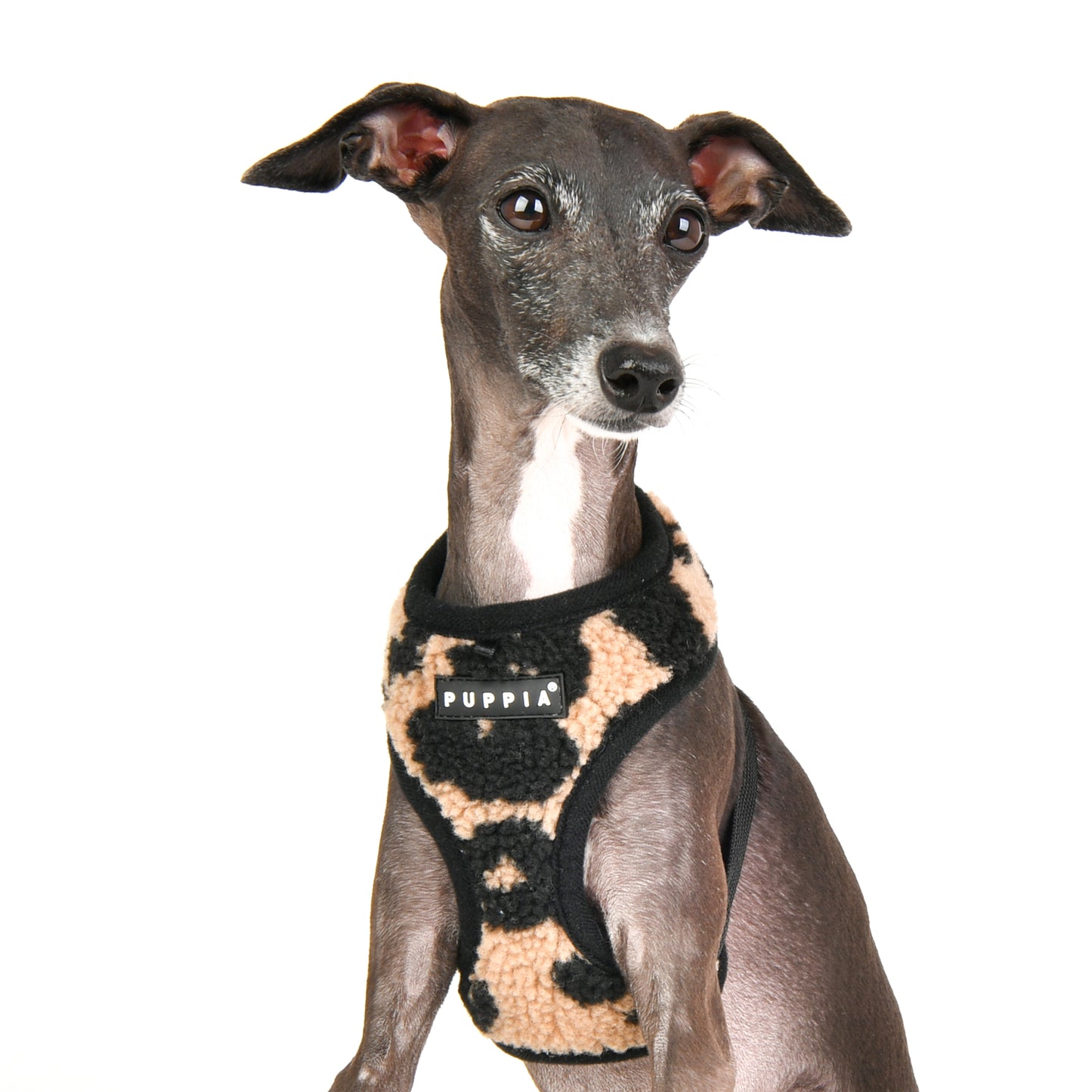 Puppia Serval Harness