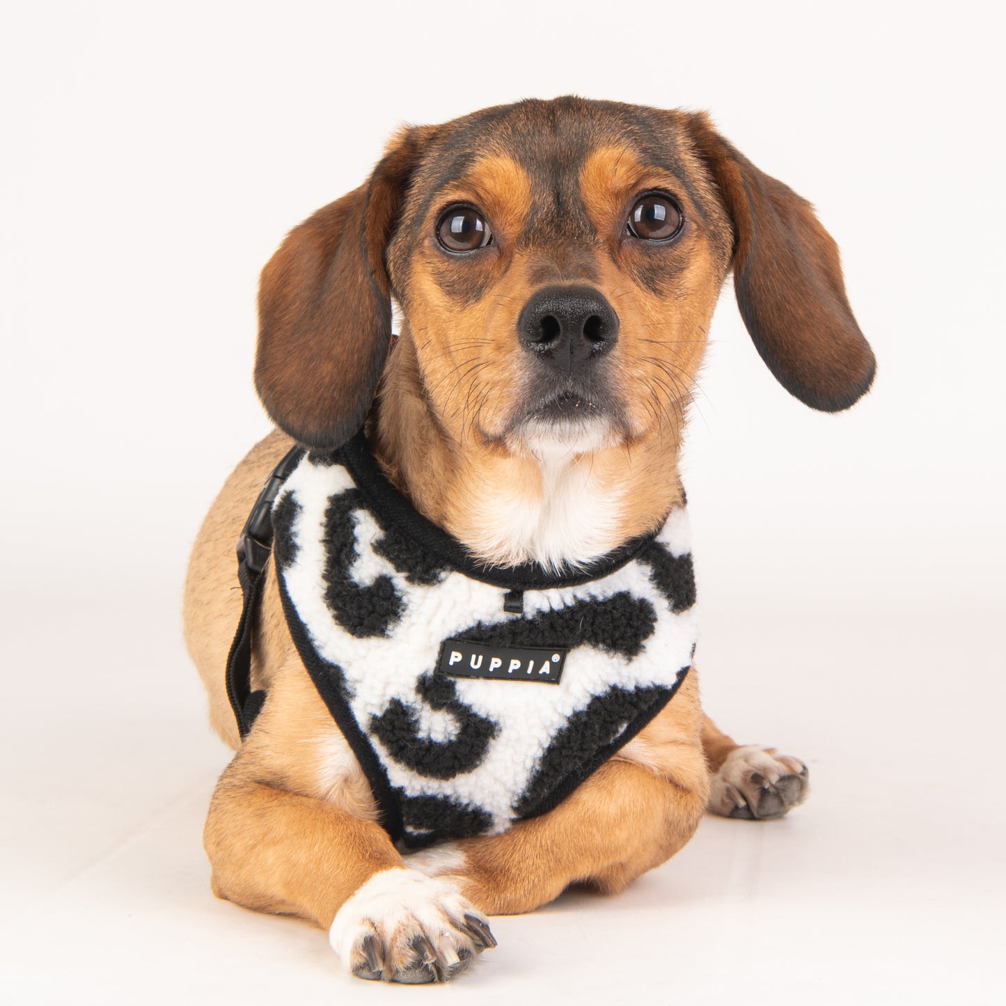 Puppia Serval Harness