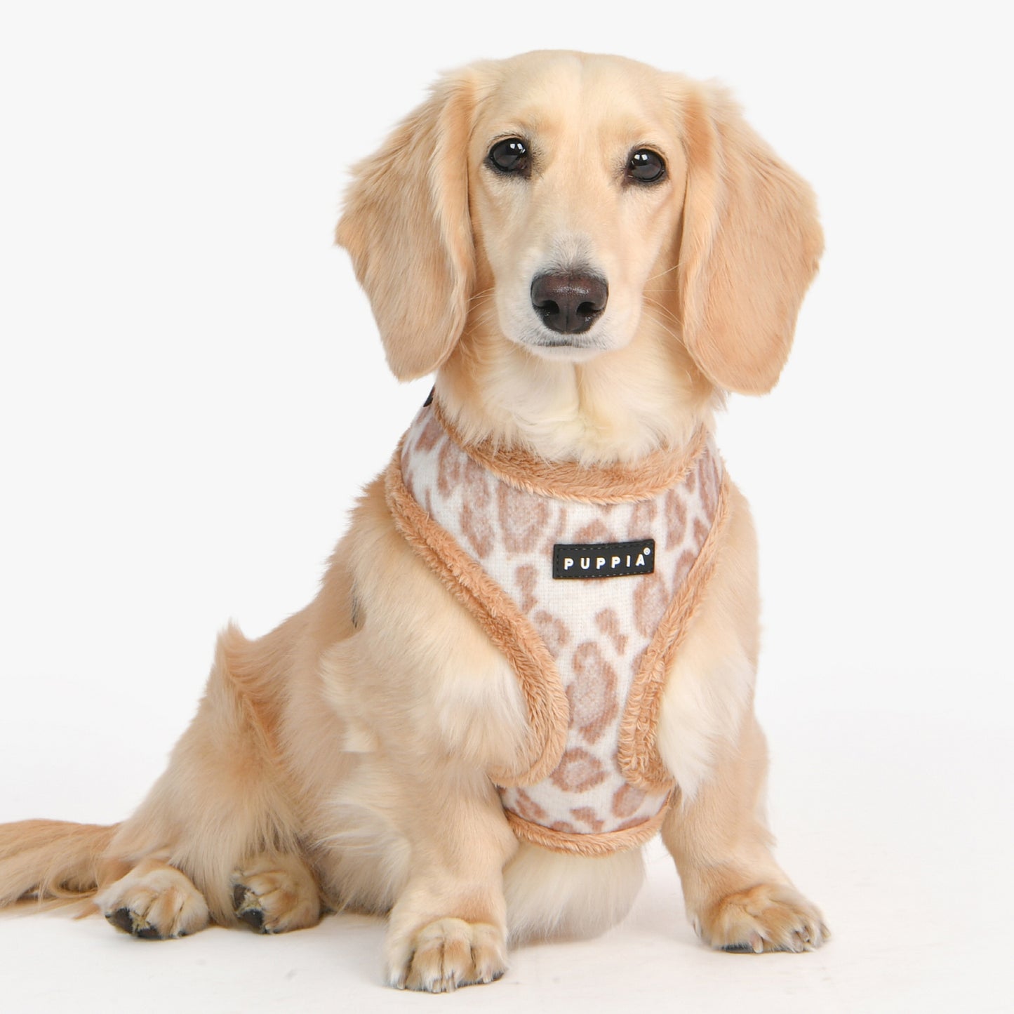 Puppia Kovo Harness