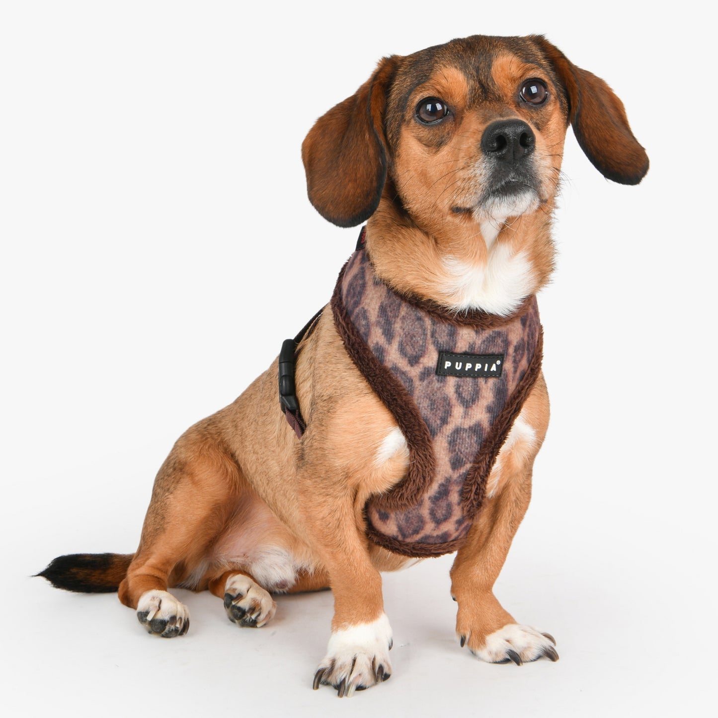 Puppia Kovo Harness