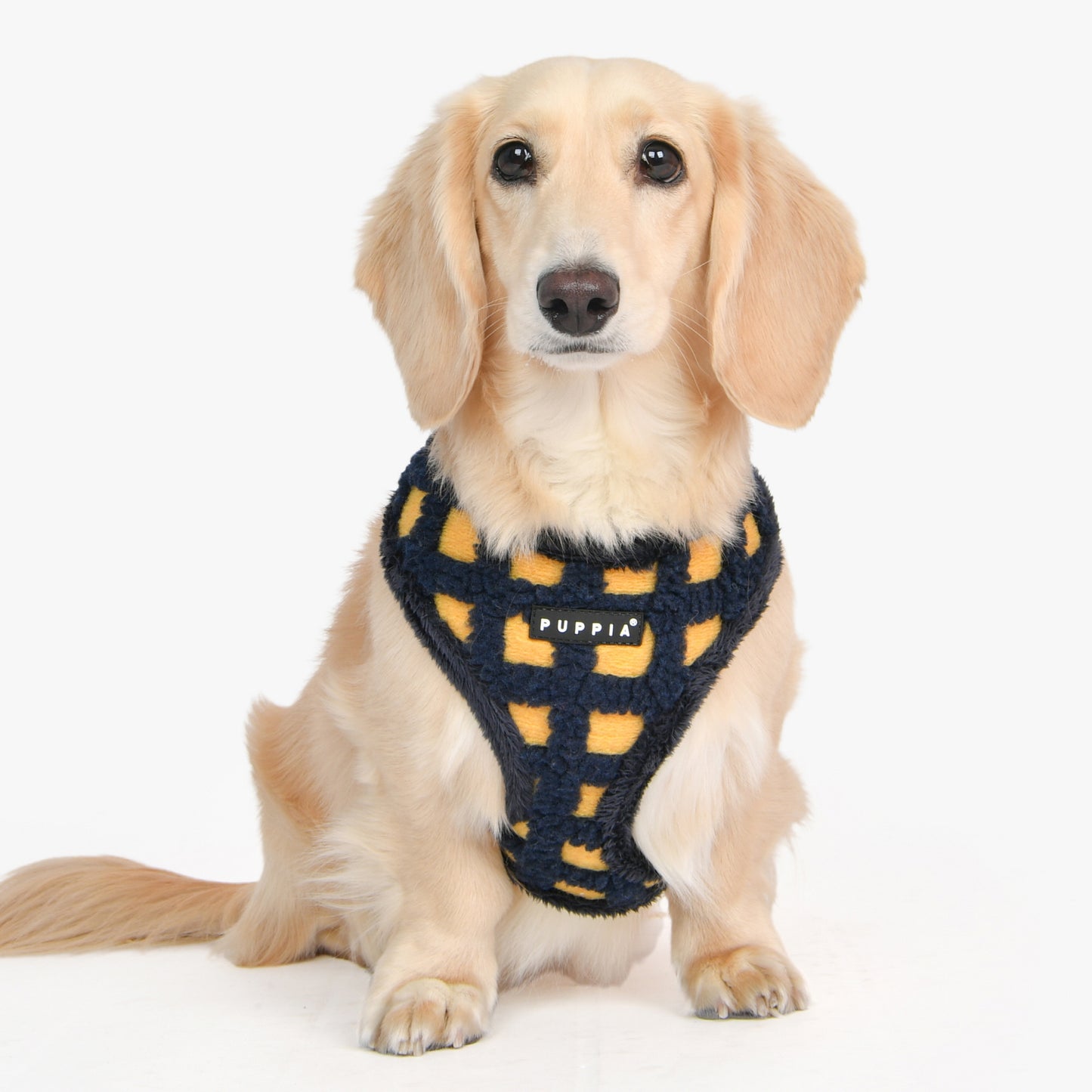 Puppia Stefan Harness