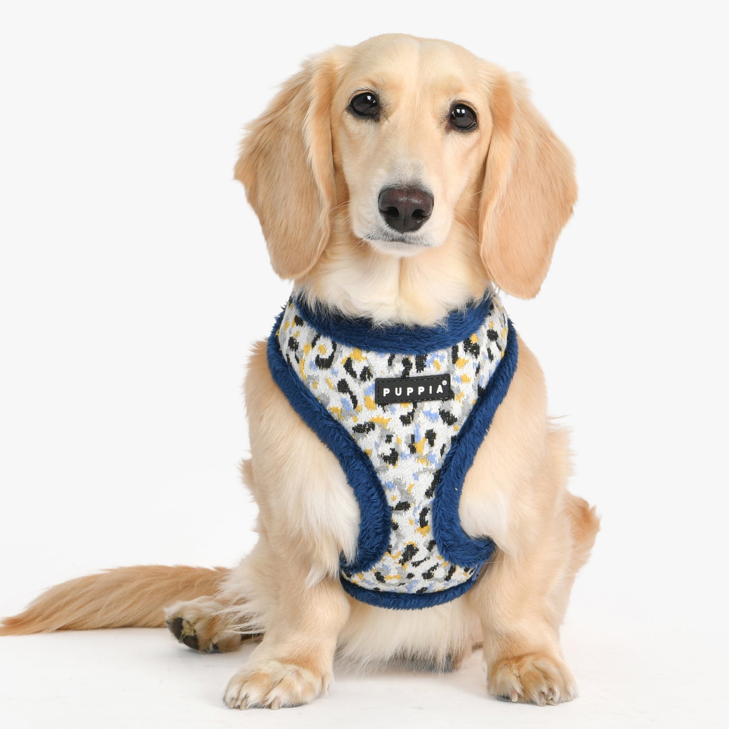 Puppia Huxley Harness