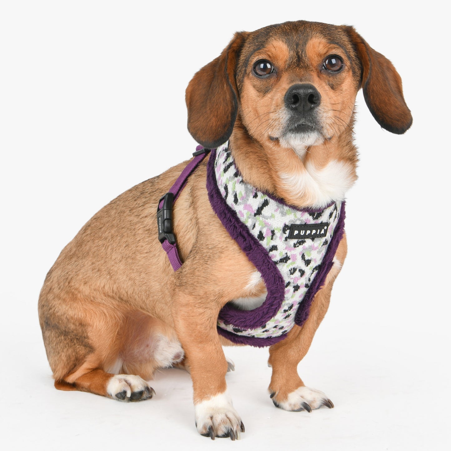 Puppia Huxley Harness