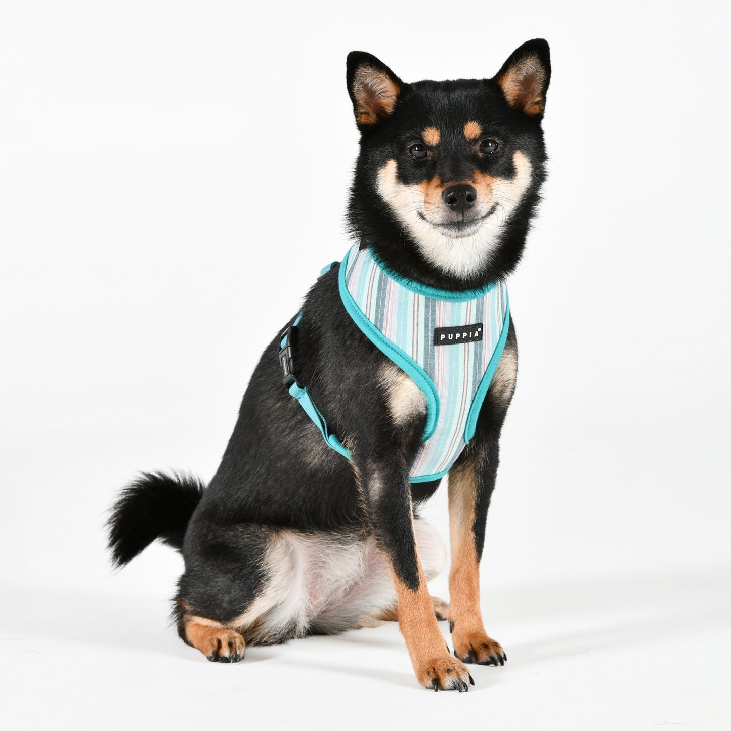 Puppia Theros Harness