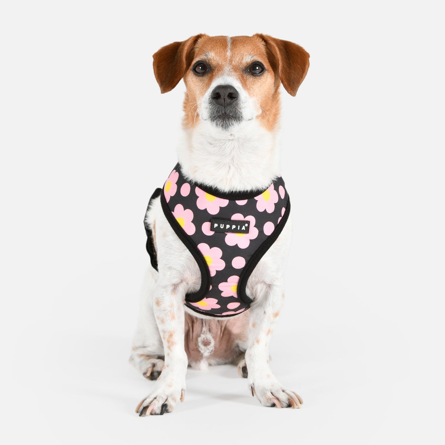 Puppia Bacopas Harness