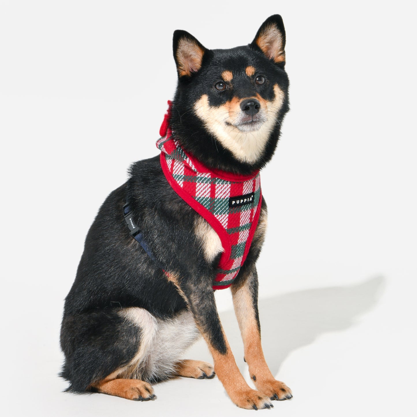 Puppia Festive Harness