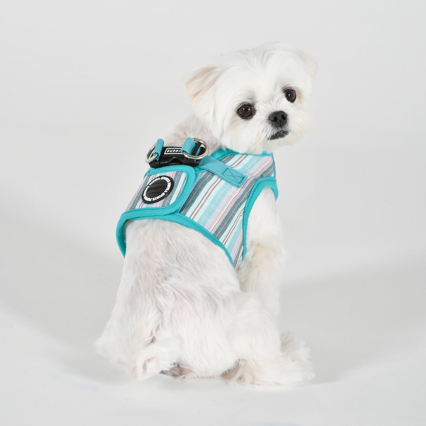 Puppia Theros Vest Harness