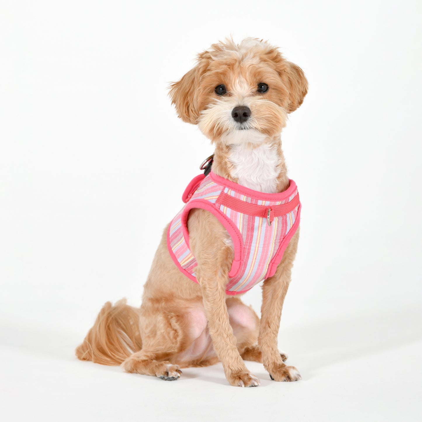 Puppia Theros Vest Harness