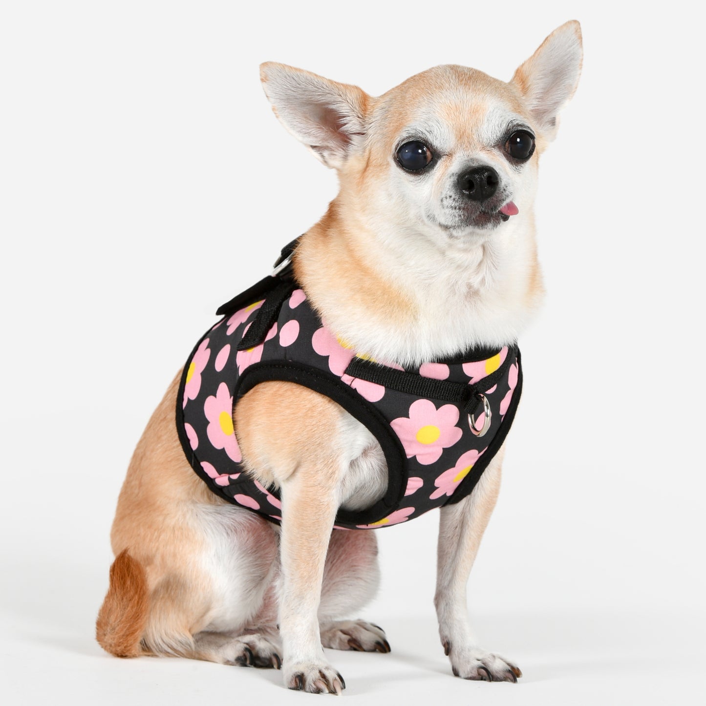 Puppia Bacopas Vest Harness