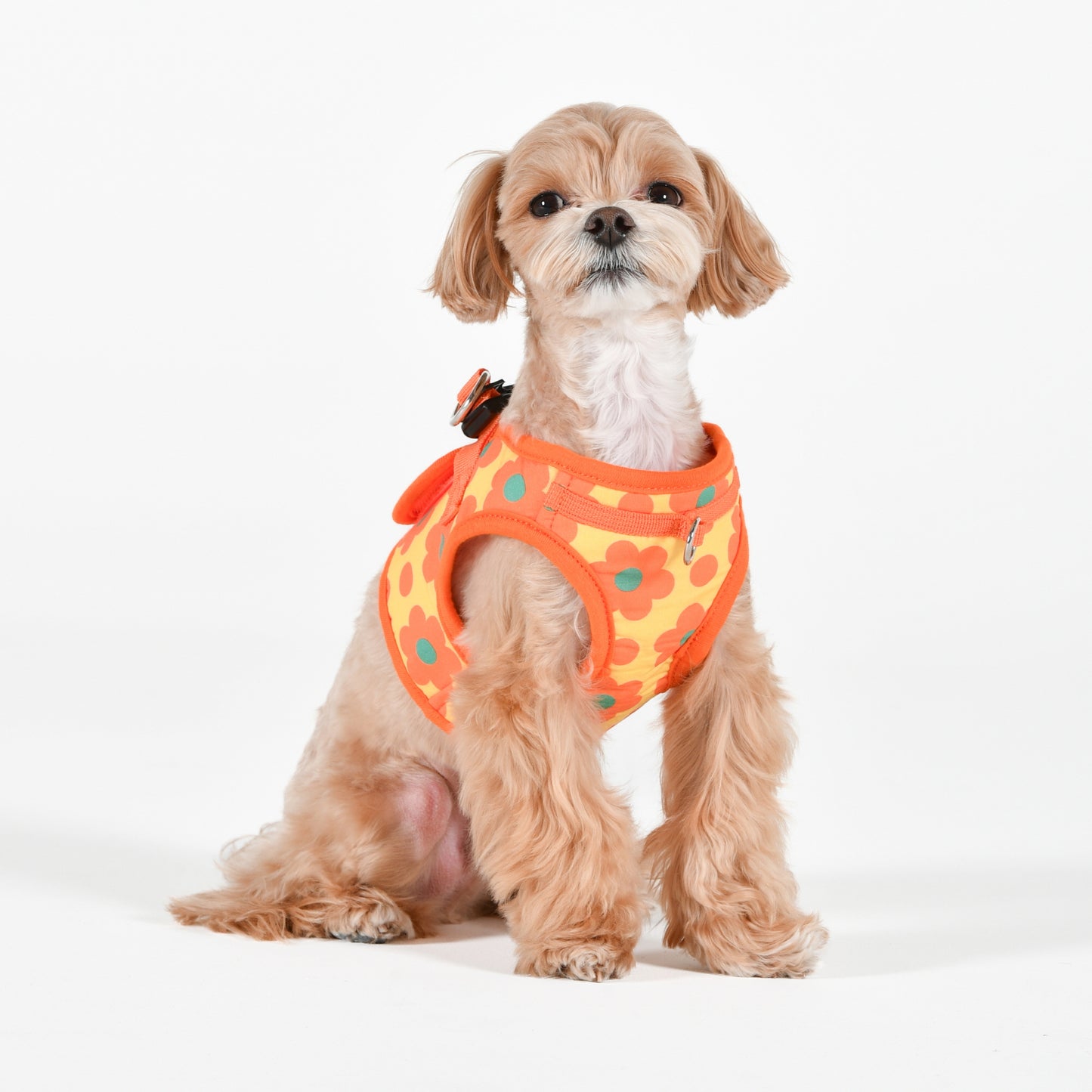 Puppia Bacopas Vest Harness