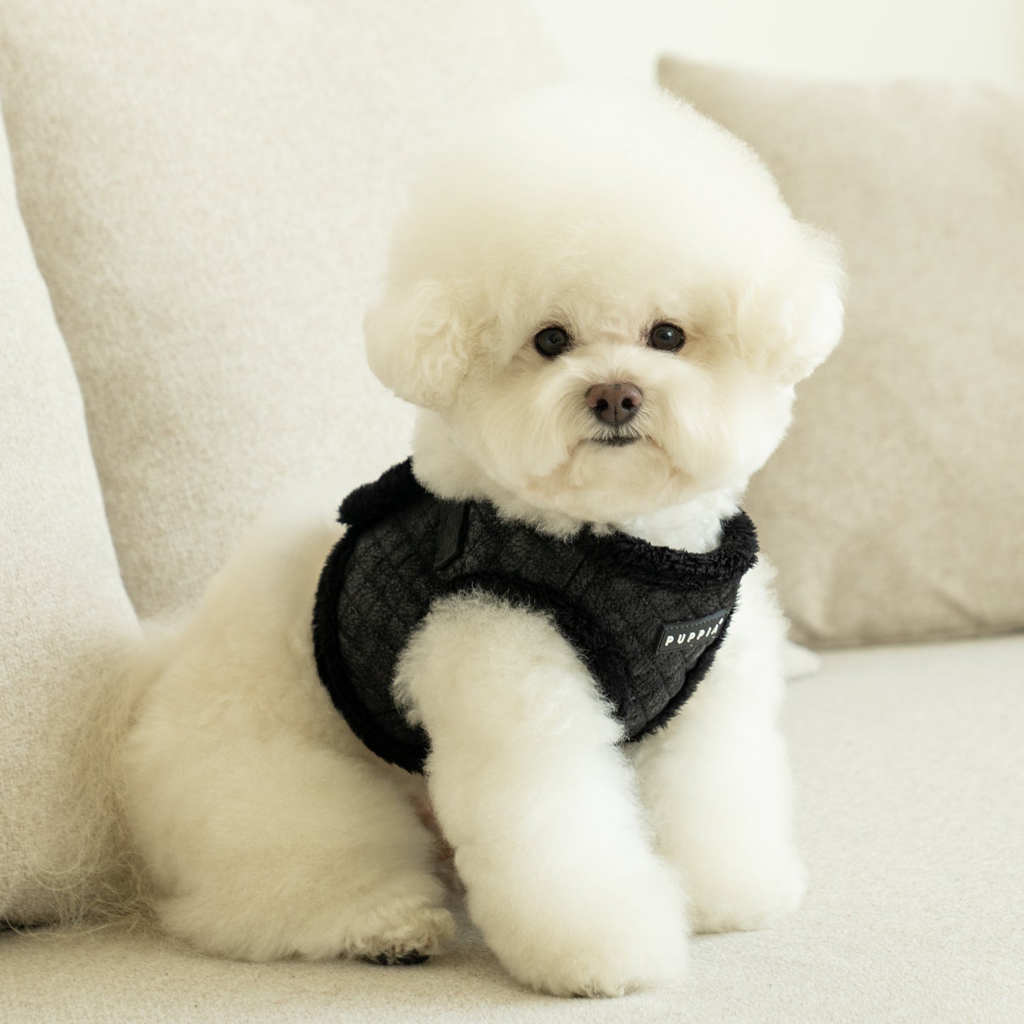 Puppia Douglas Vest Harness