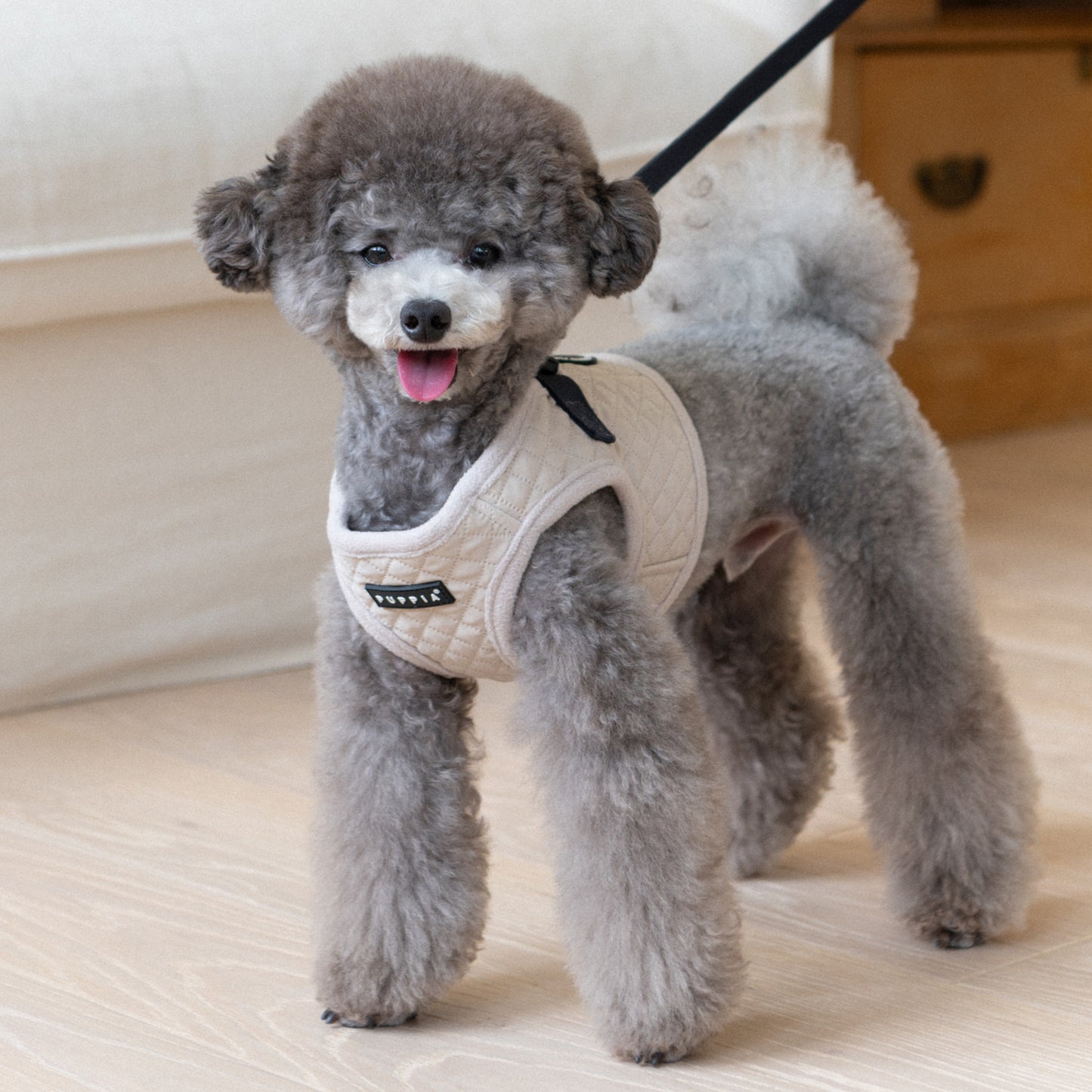 Puppia Irvin Vest Harness
