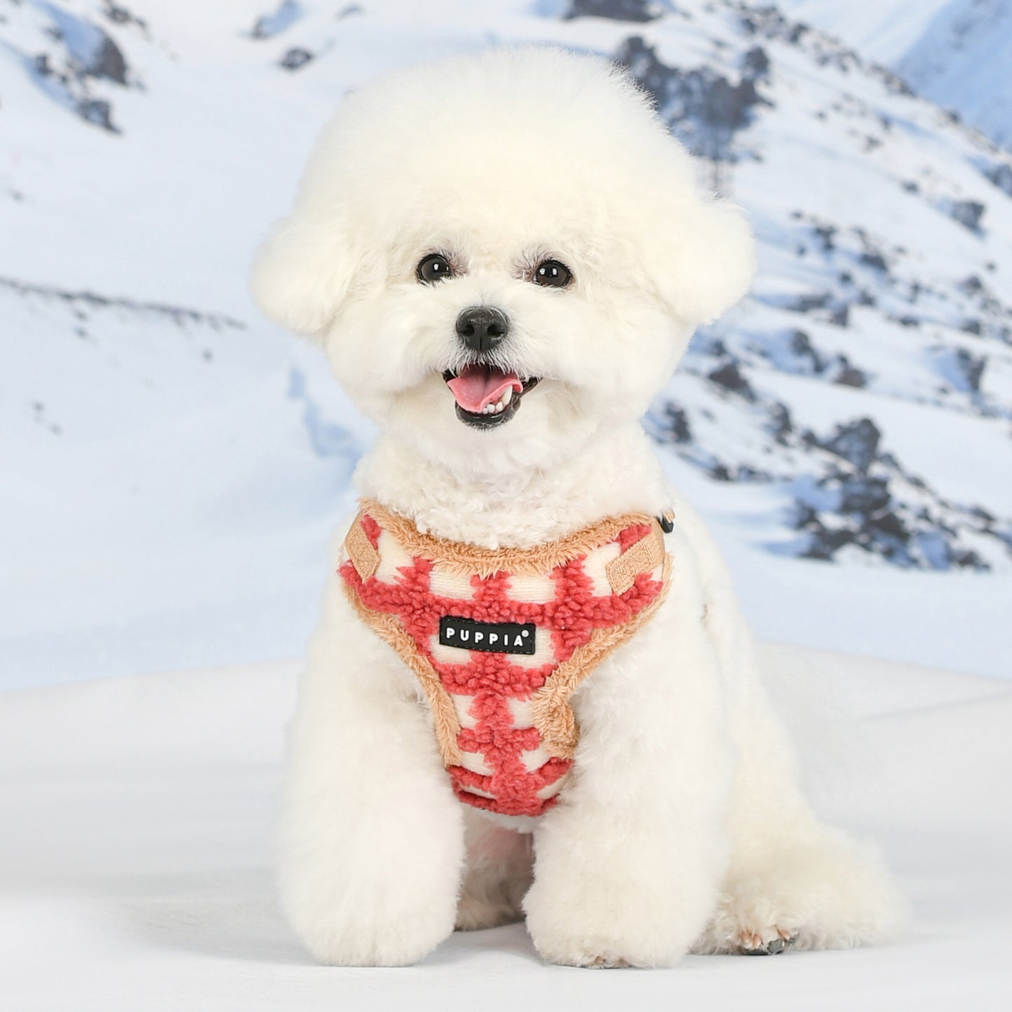 Puppia Stefan Comfort Harness