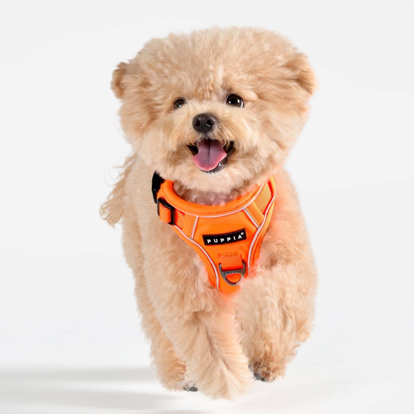 Puppia Neon Harness H