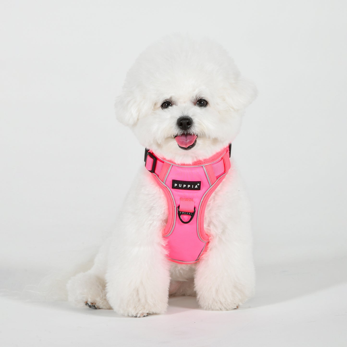 Puppia Neon Harness H