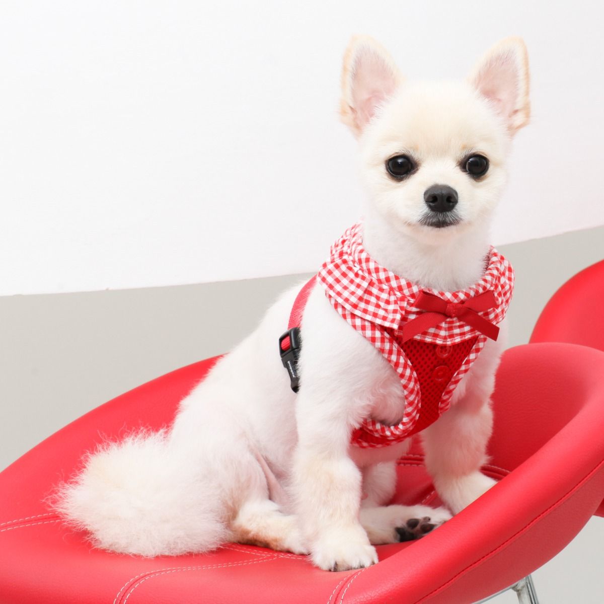 Puppia Vivien Harness