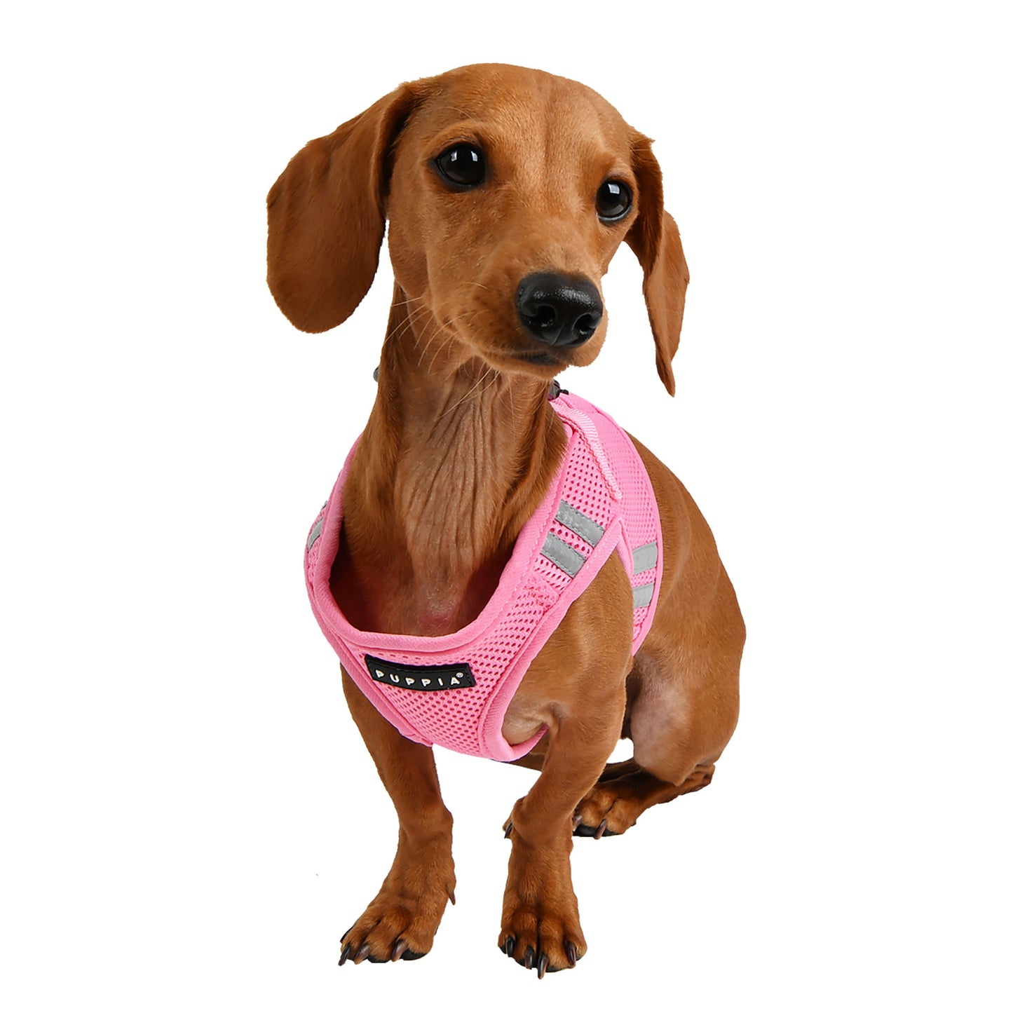 Puppia Soft Vest Harness Pro