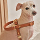 Kandog Handle Harness