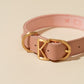 Kandog Macaron Collar