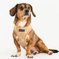 Puppia Corwin Harness
