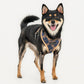Puppia Corwin Harness