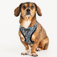 Puppia Cynthia Harness
