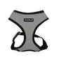 Puppia Amatus Harness