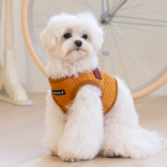 Puppia Irvin Vest Harness