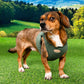Puppia Eco Vest Harness