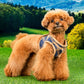 Puppia Corwin Vest Harness