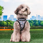 Puppia Cynthia Vest Harness