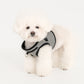Puppia Amatus Vest Harness