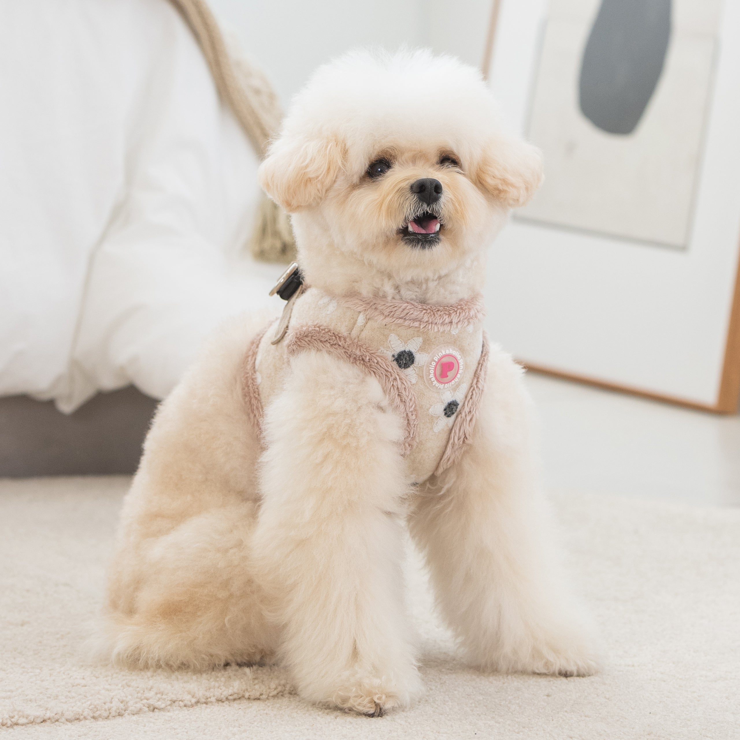 Toy poodle outlet harness