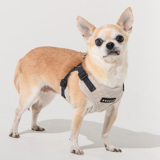 Puppia Irvin Comfort Harness