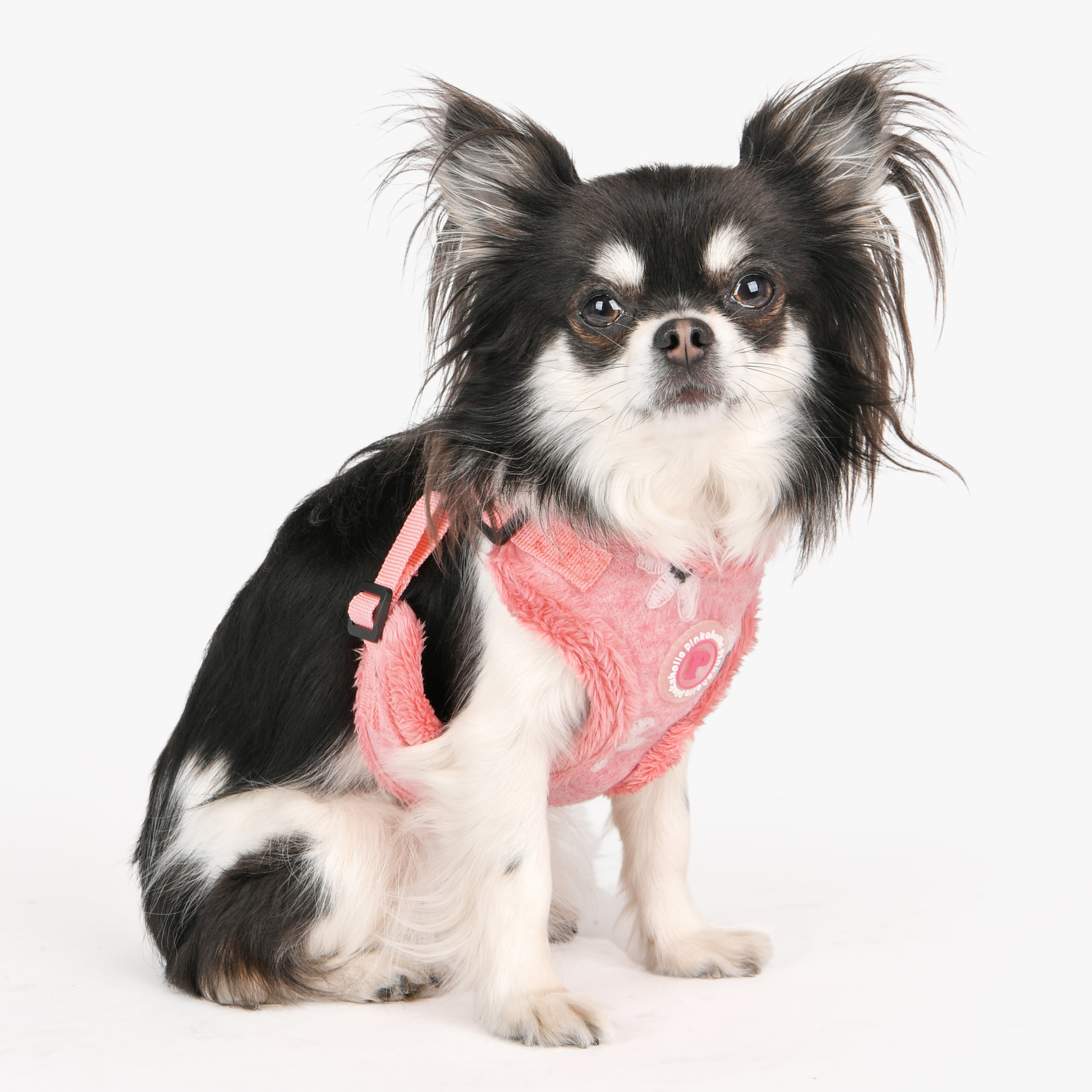 Pinkaholic dog clearance clothes