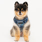 Puppia Cynthia Harness H