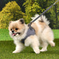 Puppia Eco Harness Q