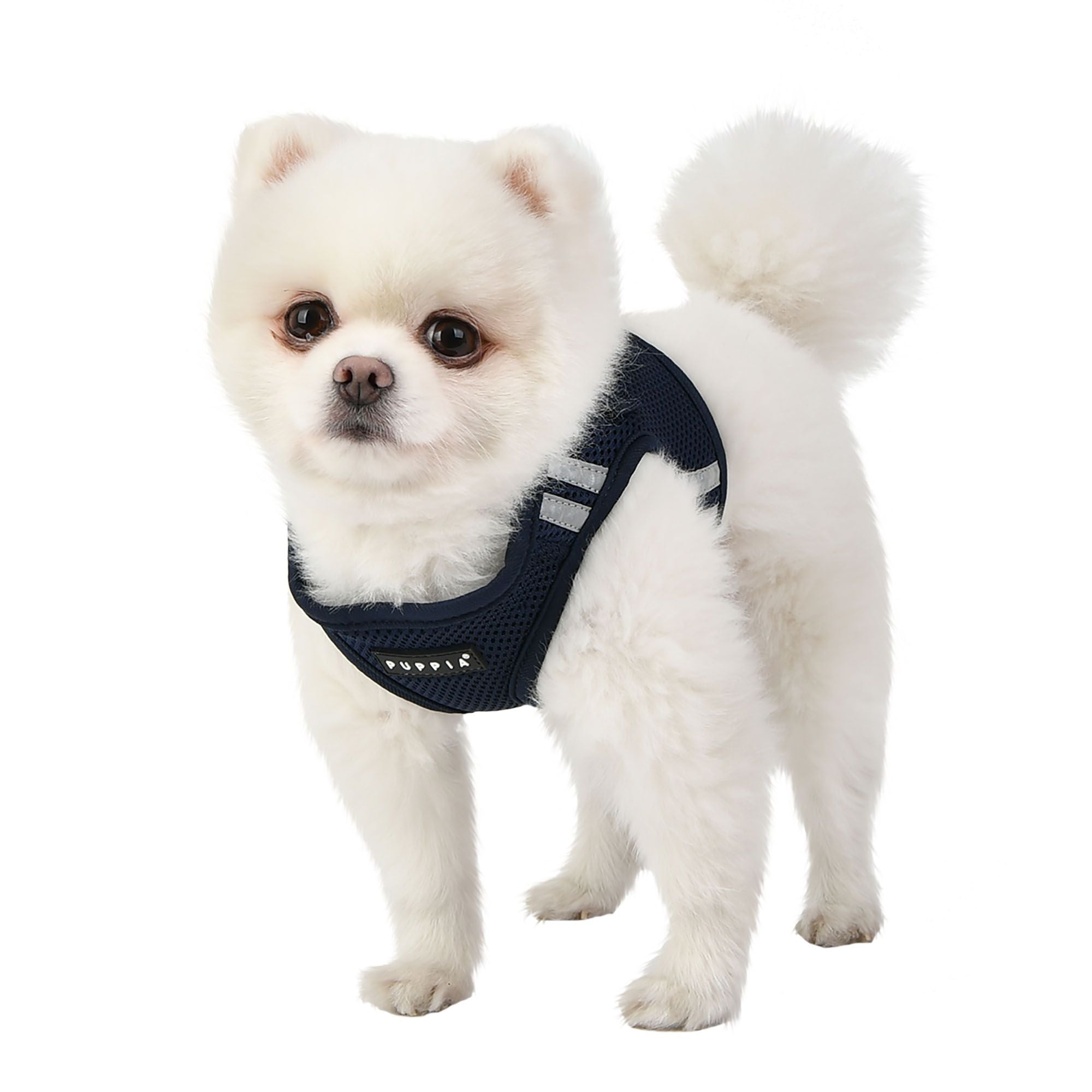 Puppia best sale soft vest